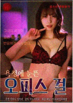 雾中灯塔悬疑剧集封面